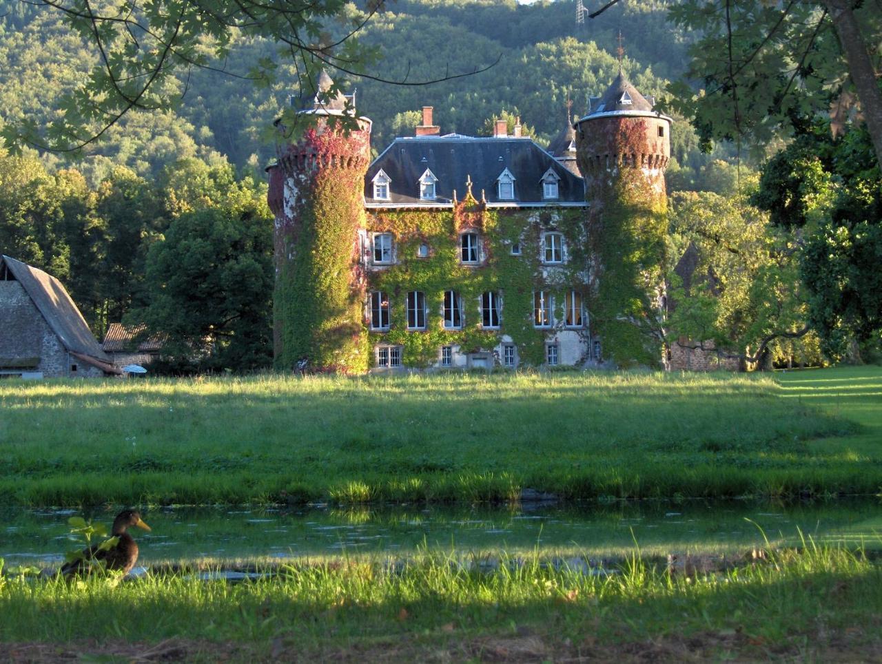 Chateau De Sedaiges Marmanhac Zewnętrze zdjęcie